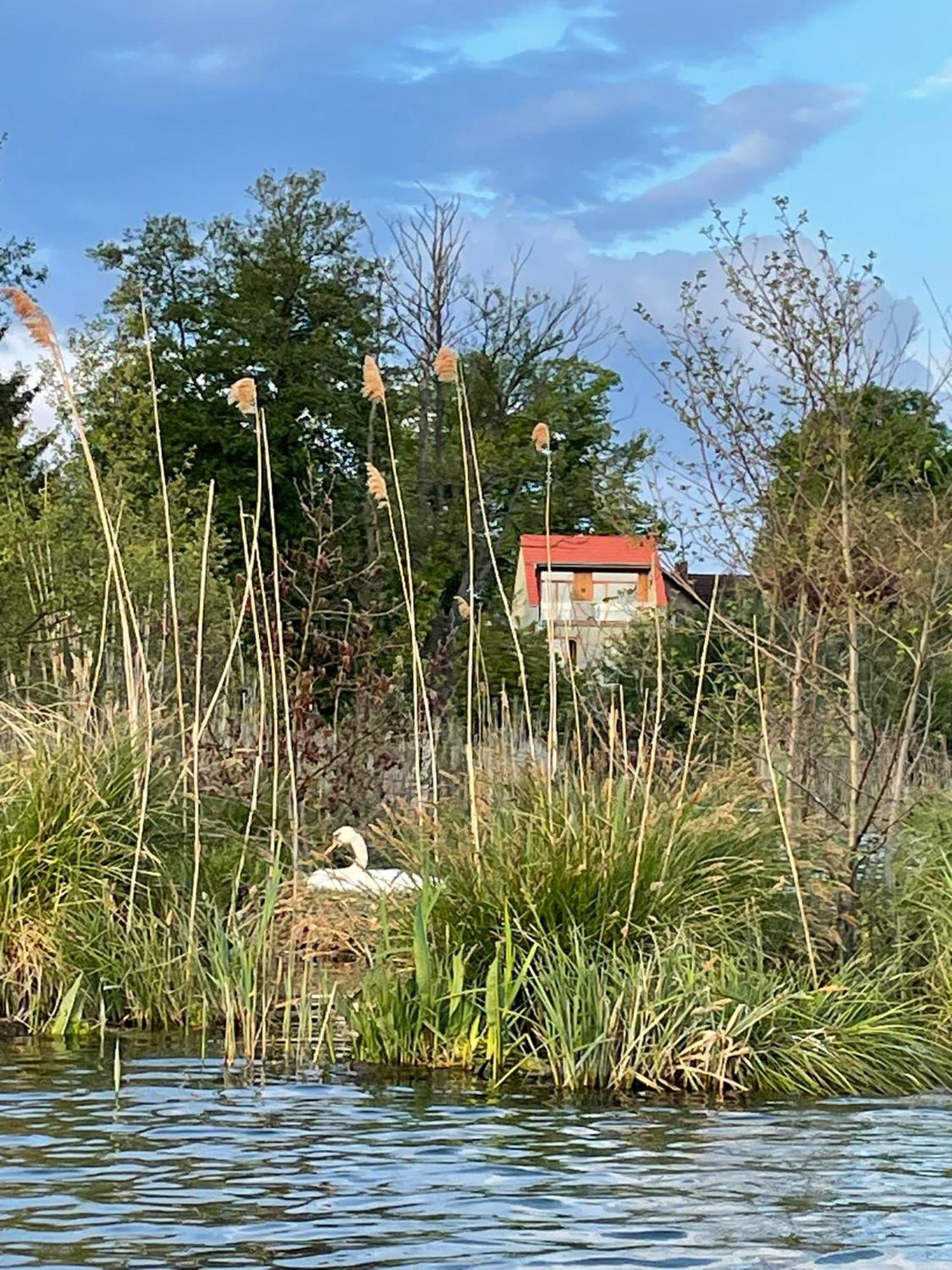 Erholen Am
